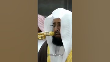 القارئ 🎙️: خالد الغامدي 🍃 #قرآن #خالد_الغامدي