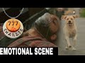 777 charlie movie emotional scene telugu  telugu movies 2022