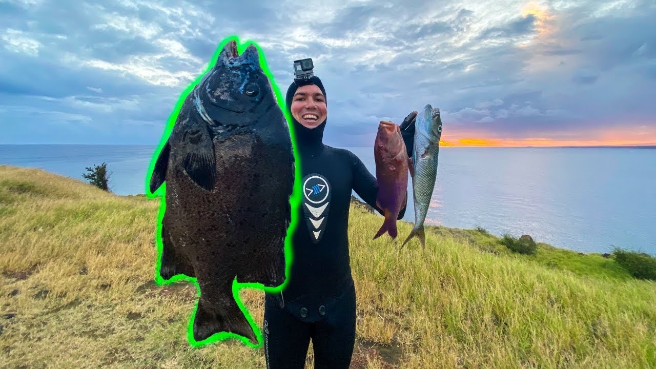 Spearfishing Hawaii Knife Jaw Catch and Cook + Sashimi Taste Test YouTube