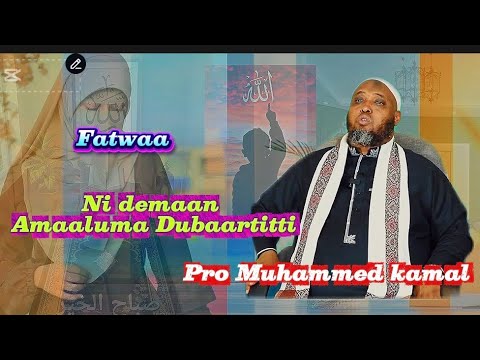 Ni Demaan Amaaluma Dubaartotaatti Fatwaa Pro Muhammed Kamaal Tilmo