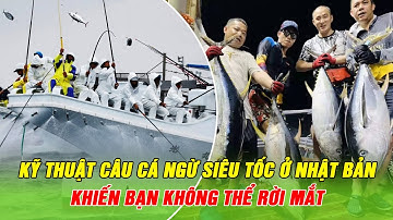 Nghệ Thuật Câu Cá Ngừ Đại Dương Đỉnh Cao Của Người Nhật