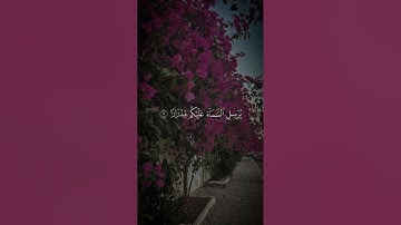 تلاوه من سورة نوح|بصوت الشيخ ماهر المعيقلي🎧♥️#trending #quran #قران_كريم #راحة_نفسية #قرآن