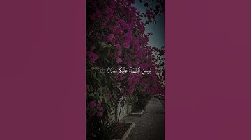 تلاوه من سورة نوح|بصوت الشيخ ماهر المعيقلي🎧♥️#trending #quran #قران_كريم #راحة_نفسية #قرآن