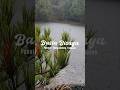 Ulan Ra Ni, Muhunong Ra 🌈 Relaxing Water White Noise + Rain Ambience 🌧️ Bisaya Motivation Quotes