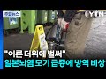 "이른 더위에 벌써"...일본뇌염 모기 급증에 방역 비상 / YTN