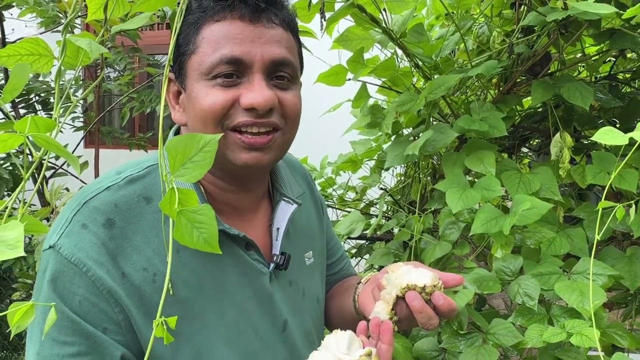 ගොවිපලේ ජීවිතය ....❤️❤️❤️❤️❤️❤️