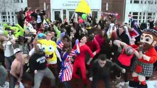 Macalester Harlem Shake