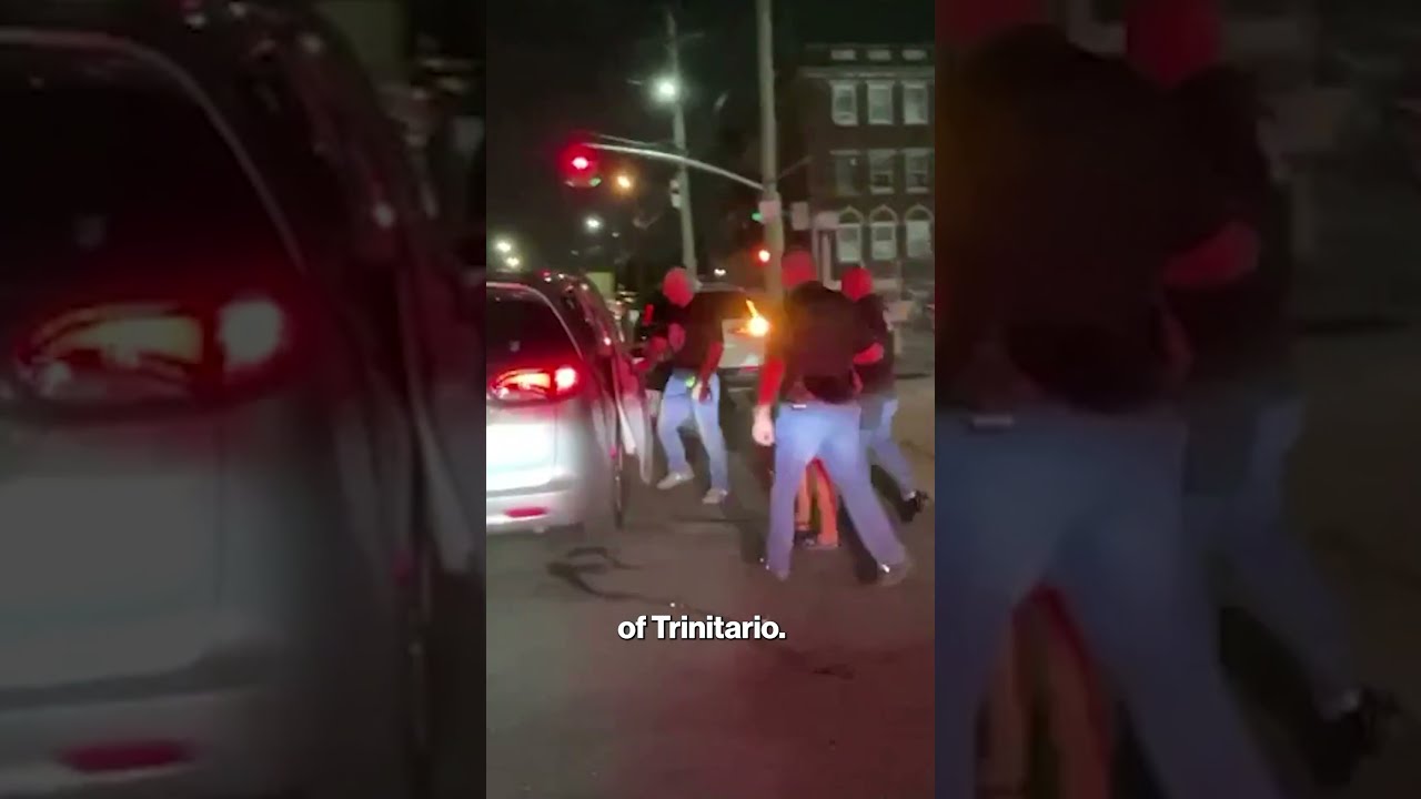 Cops Arrest Gang Members Accused Of Terrorizing Long Island As Territory Beefs Heat Up Shorts