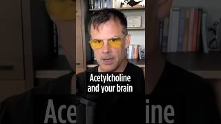 Download Lagu Acetylcholine and your Brain 🧠 MP3 Download Lagu Acetylcholine and your Brain 🧠 MP3