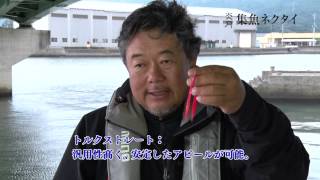 【炎月】鯛ラバPV 炎月集魚ネクタイ