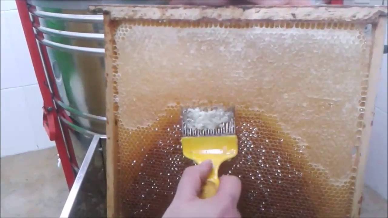 suministros de apicultura herramienta para cortar miel calefacci/ón constante de temperatura con termostato cuchillo desatascador de miel Cuchillo desatascador el/éctrico acero inoxidable