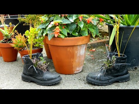 Original Planter - how to use your old boots