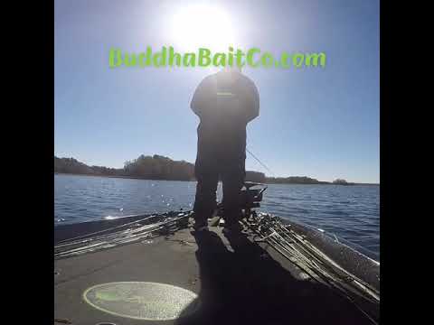 Buddha Enlightened series