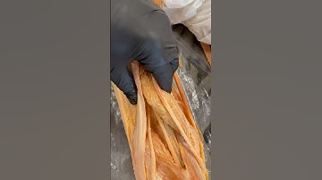 Real Human Hamstrings. Why Are They Called “Hamstrings”?