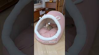 अर वह य बड त बहत मसत ह