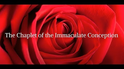 The Immaculate Conception Chaplet