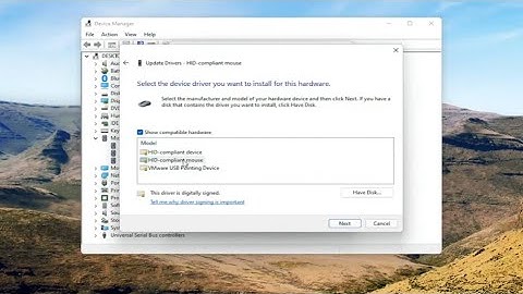 How to Fix - Mouse Cursor Disappears in Windows 11 Laptop/Desktop