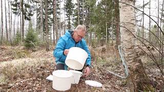 Mahla aloittaa luonnontuotteiden satokauden