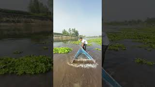 Hidden Under Thick Kachuripan Huge Surprise