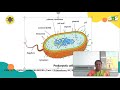 Types of cells l Biology for Engineers