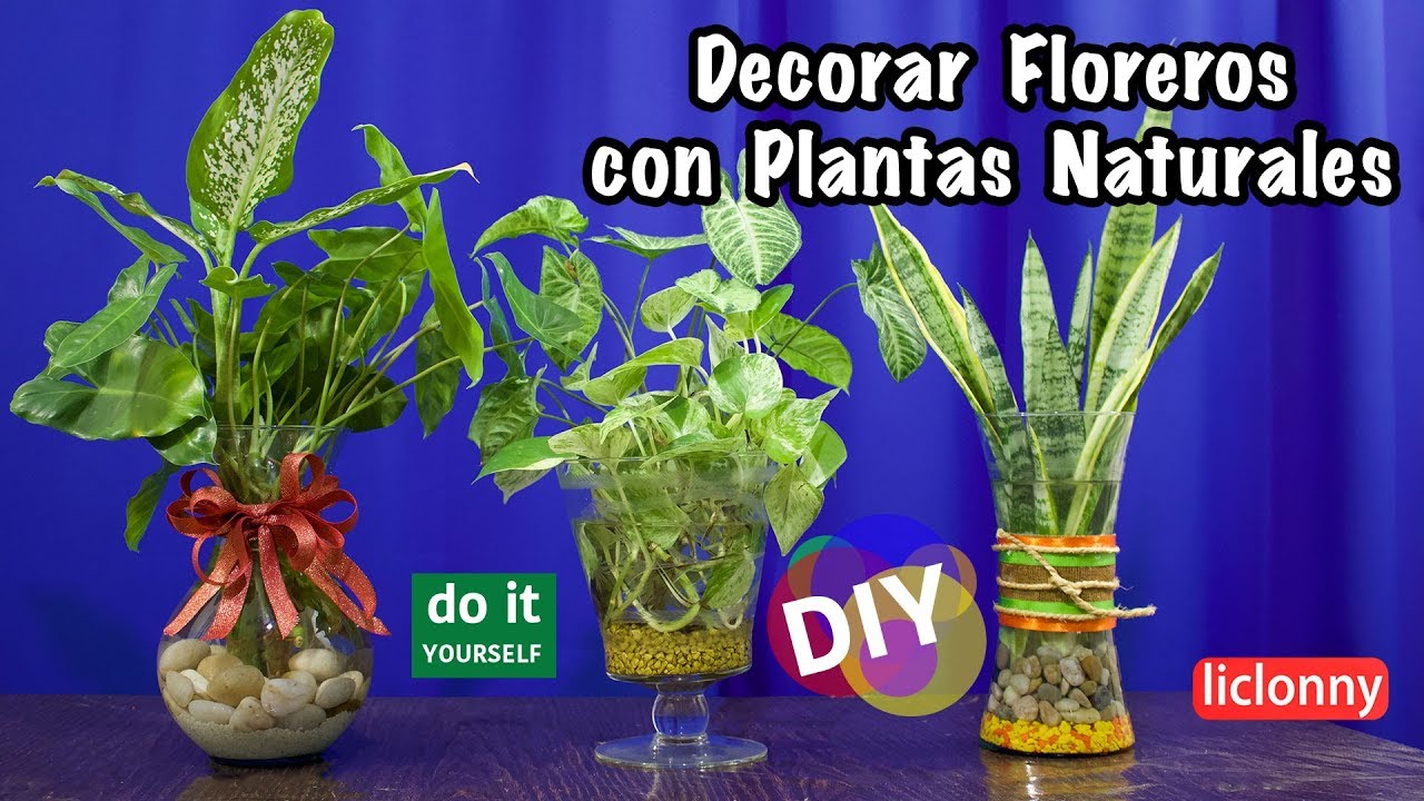 Cómo decorar con plantas naturales en agua, floreros de cristal ? #Decorar.  liclonny - YouTube