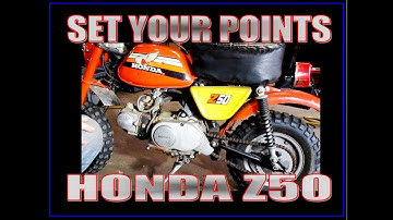 Set your points on a Honda Z50