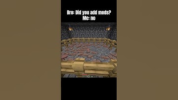 I swear I didn’t add mods