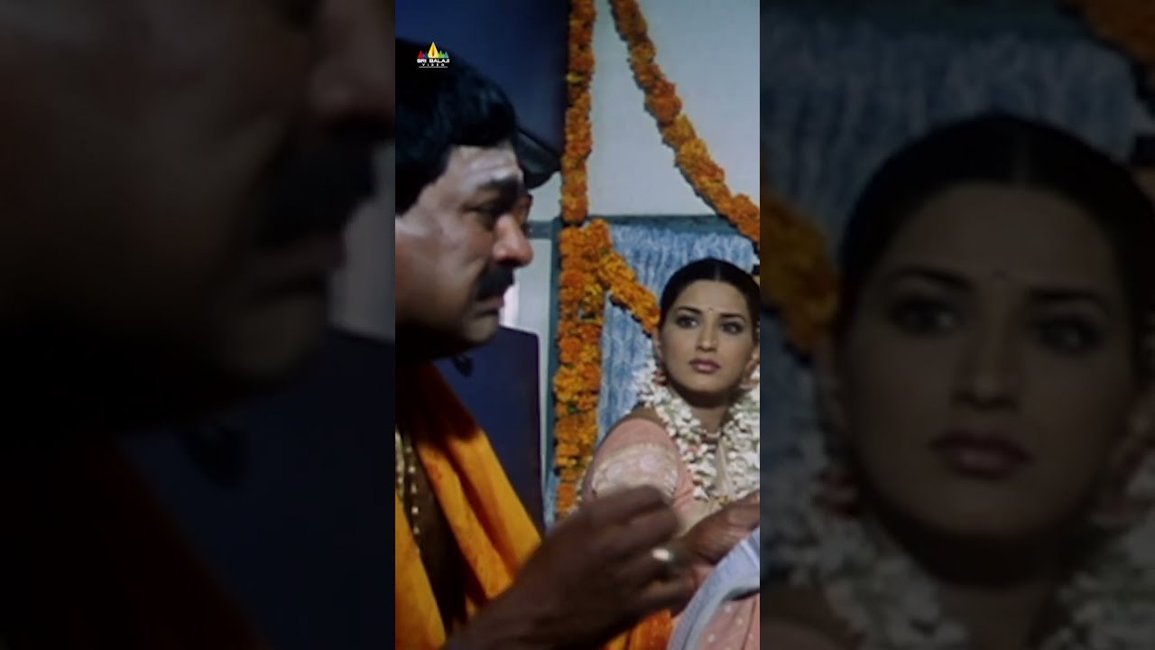 Balakrishna Strong Warning To Jaya Prakash Reddy Palanatibrahmanaidu Shorts Ytshorts