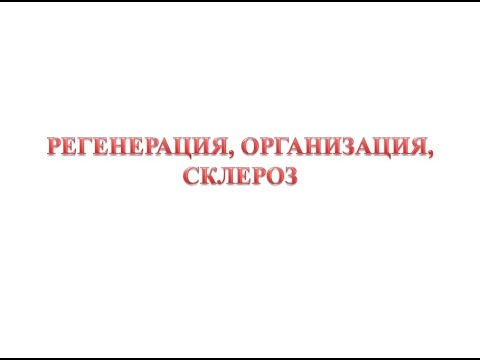 Регенерация, склероз