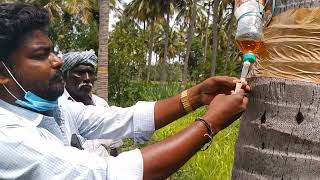 coconut trunk injection installation