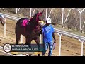 Tercia Estelar El Pedrito Cuadra Carrujillo vs La Catrina Cuadra Zarco vs Centauro Lagos de Moreno