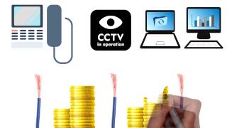 Celebrity Why have one Intelligent Network? Net Worth