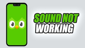 How To Fix Duolingo App Sound Not Working