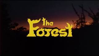 The Forest 1982 Trailer