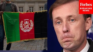'Not Result Of Competent Administration': Sullivan Asked About Alternative Actions In Afghanistan