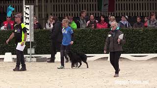 Selection - Valentina Balli + Mind the dog Lycan/Border Collie - Italy Selection - Valentina Balli + Mind the dog Lycan/Border Collie - Italy