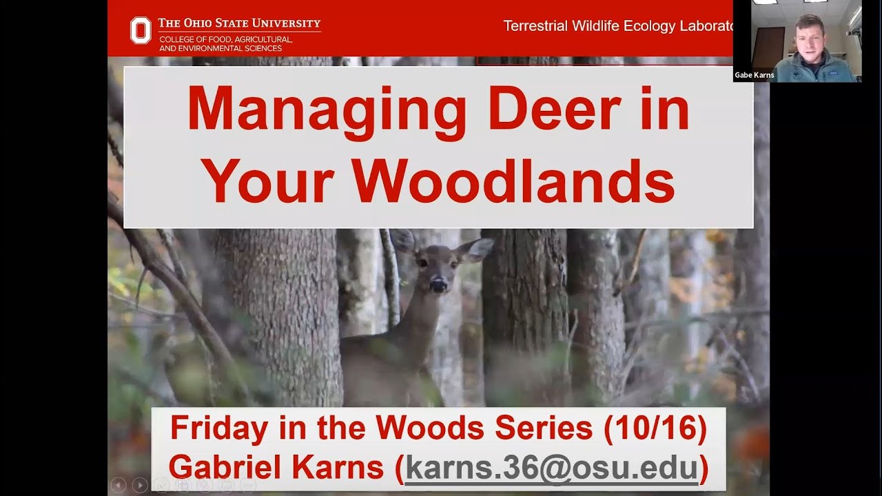 Management: Deer and Habitat – October 16, 2020