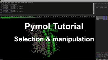 Pymol Tutorial: Selection And Manipulation