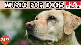 [LIVE] Dog Music🎵 Relaxing Music to Calm Anxious Dogs🐶🎵 Separation anxiety relief music💖Dog Sleep🔴2
