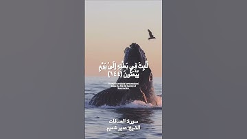 وإن يونس لمن المرسلين||صوت تريح القلب🌸 #القرآن_الكريم #سورة_الصافات #عمير_شميم #quran