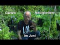 Wir sind im Garten und erleben tolle Neuigkeiten und begleiten die Projekte mit Pflanzen