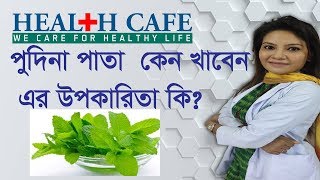 পুদিনা পাতা কেন খাবেন এর উপকারিতা  Health Cafe screenshot 5