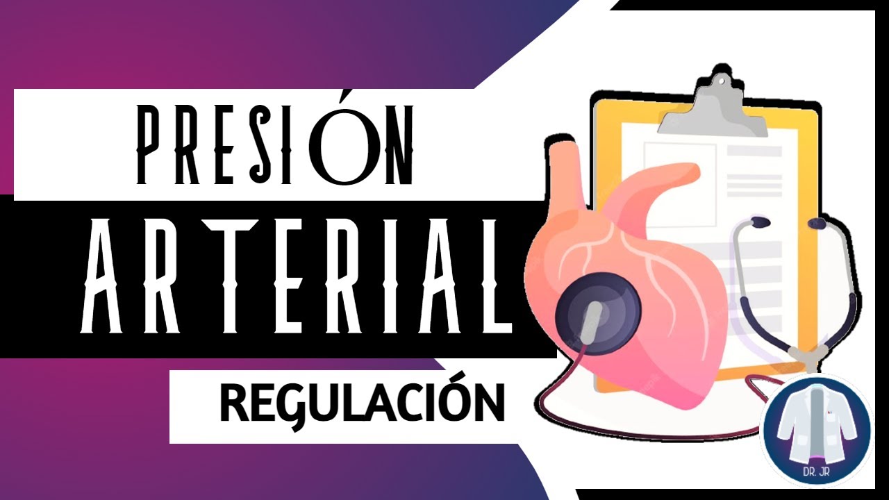 Regulación de la Presión arterial | 🔵 EXPLICADO - Dr. JR - YouTube