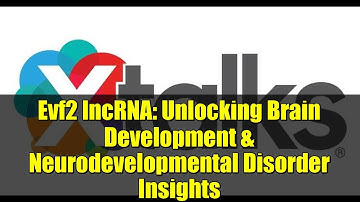 Evf2 lncRNA: Unlocking Brain Development & Neurodevelopmental Disorder Insights