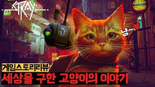 작은 고양이가 세상을 구하다 l STRAY 스토리요약 #Best Debut Indie Game screenshot 5