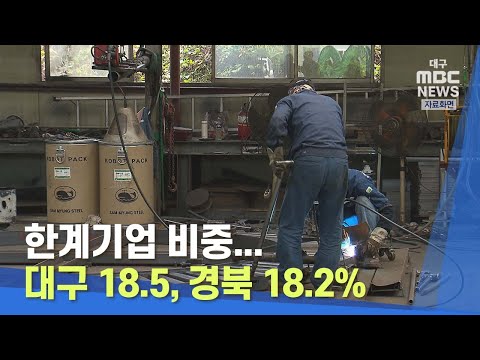 [대구MBC뉴스] 한계기업 비중..대구 18.5, 경북 18.2%