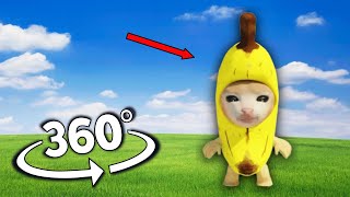Banana Cat Finding Challenge But It's 360 degree video