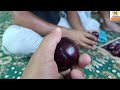 Yesterday i visit orchard azhar din sofi black amber plum shanico gala adam super z1