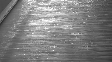 Procemex ProClean Pinhole Camera image at the headbox of a paper machine