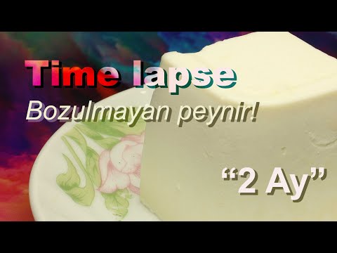 Time lapse - Peynir neden bozulmuyor? | Why cheese does not spoil?